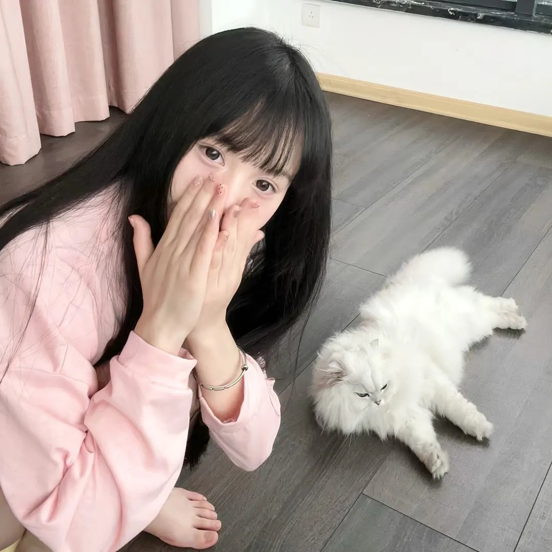 铁甲威虫之骑刃王